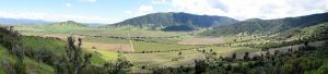 caliterra-apaltagua-007
